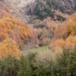 jesienny las, Pireneje, listopad