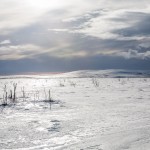 Laponia Finnmarksvidda