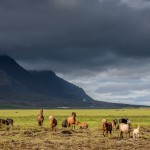 Islandia, autostop