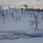 zimowa Finlandia Nuorgam-Utsjoki