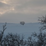 zimowa Finlandia Nuorgam-Utsjoki