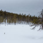 lemmenjoki, Inari