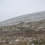 Laponia, czerwiec