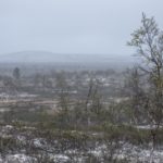 Pöyrisjärven erämaa cz5-Vanha Lapinkylä