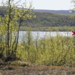 Pöyrisjärven erämaa cz7- Näkkälä
